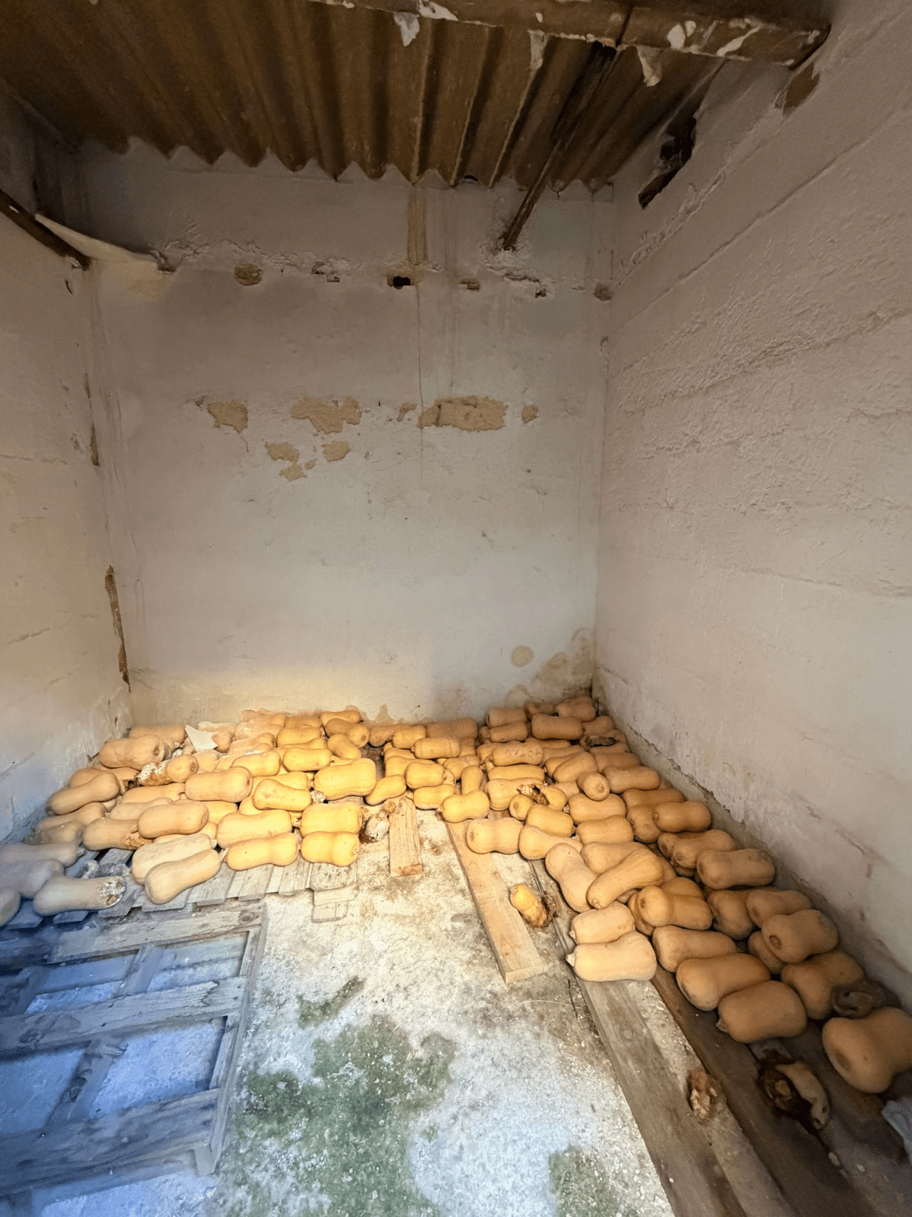 Edificio en venta para reformar en Ayelo de Malferit, Valencia