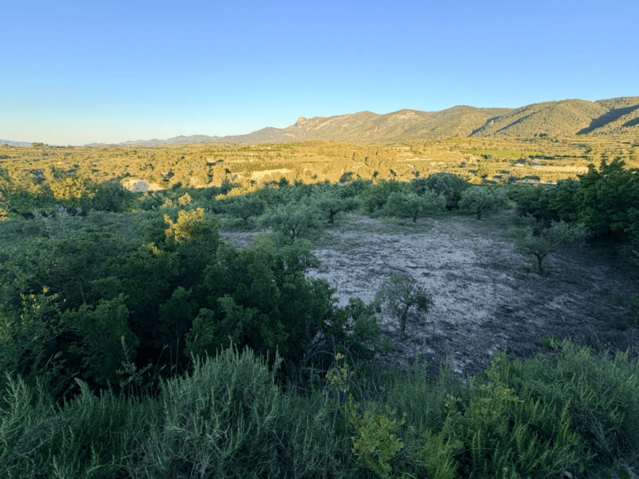 FINCA RÚSTICA CON MASÍA A REFORMAR | 35.000 m² | Vistas panorámicas