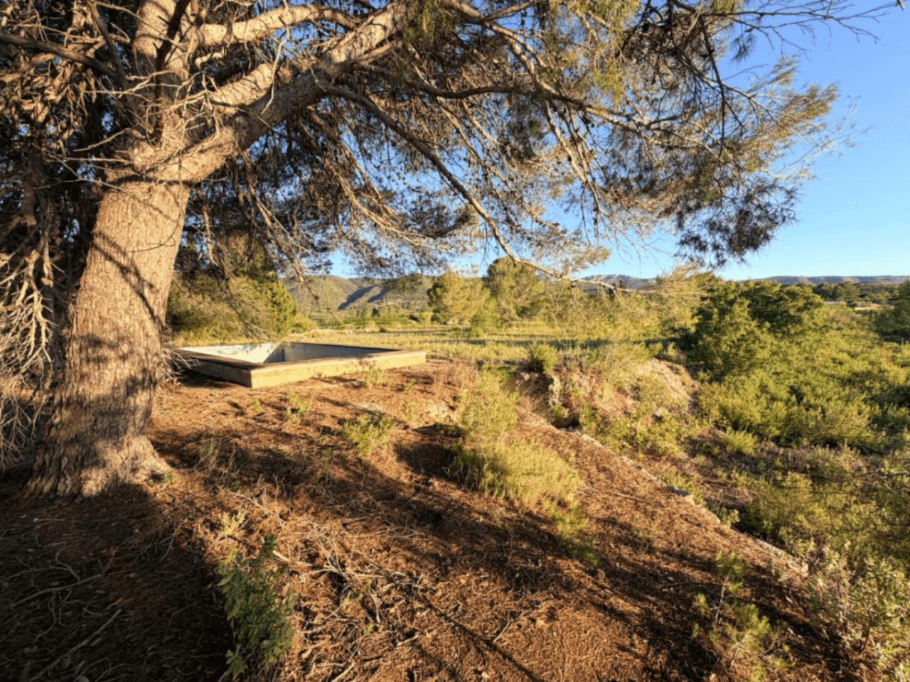 FINCA RÚSTICA CON MASÍA A REFORMAR | 35.000 m² | Vistas panorámicas