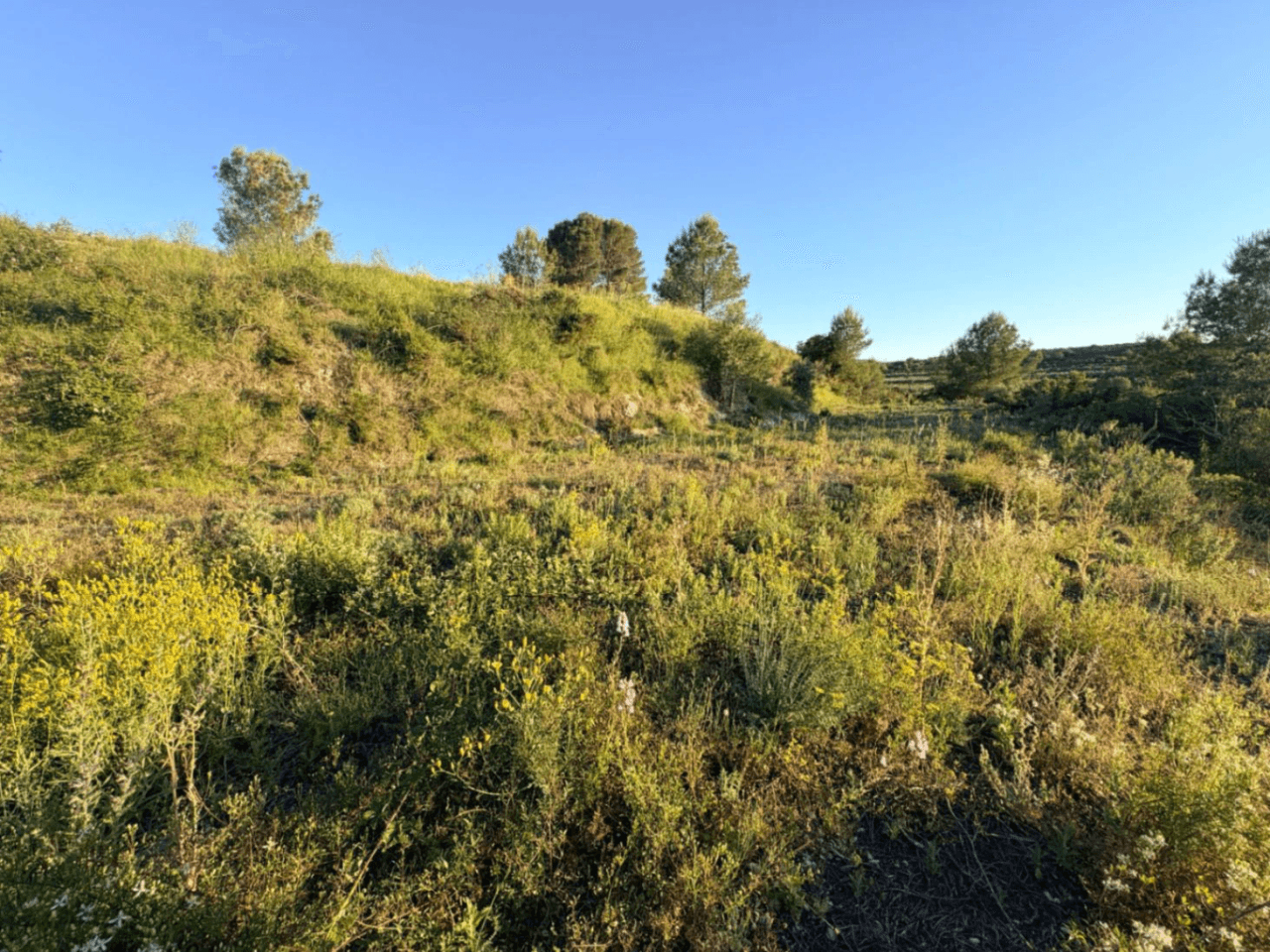 FINCA RÚSTICA CON MASÍA A REFORMAR | 35.000 m² | Vistas panorámicas