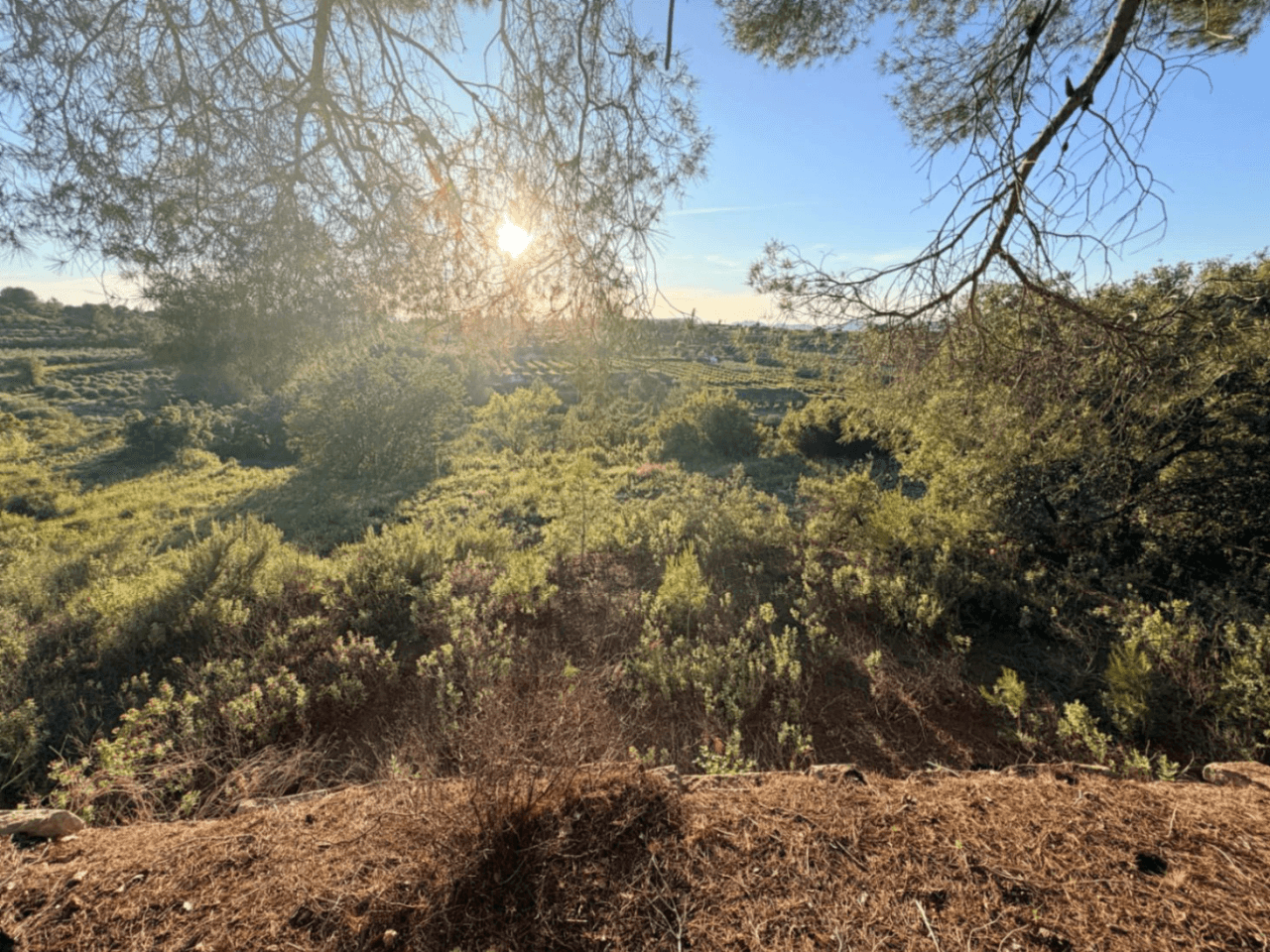 FINCA RÚSTICA CON MASÍA A REFORMAR | 35.000 m² | Vistas panorámicas