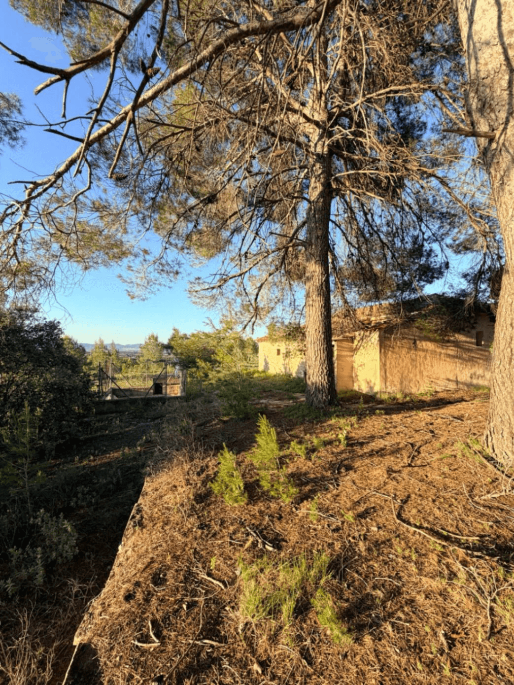 FINCA RÚSTICA CON MASÍA A REFORMAR | 35.000 m² | Vistas panorámicas
