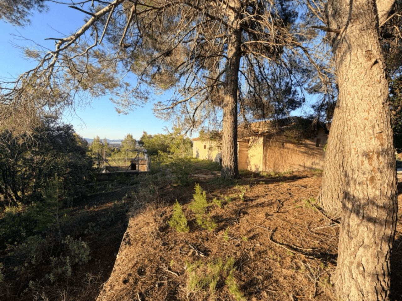 FINCA RÚSTICA CON MASÍA A REFORMAR | 35.000 m² | Vistas panorámicas