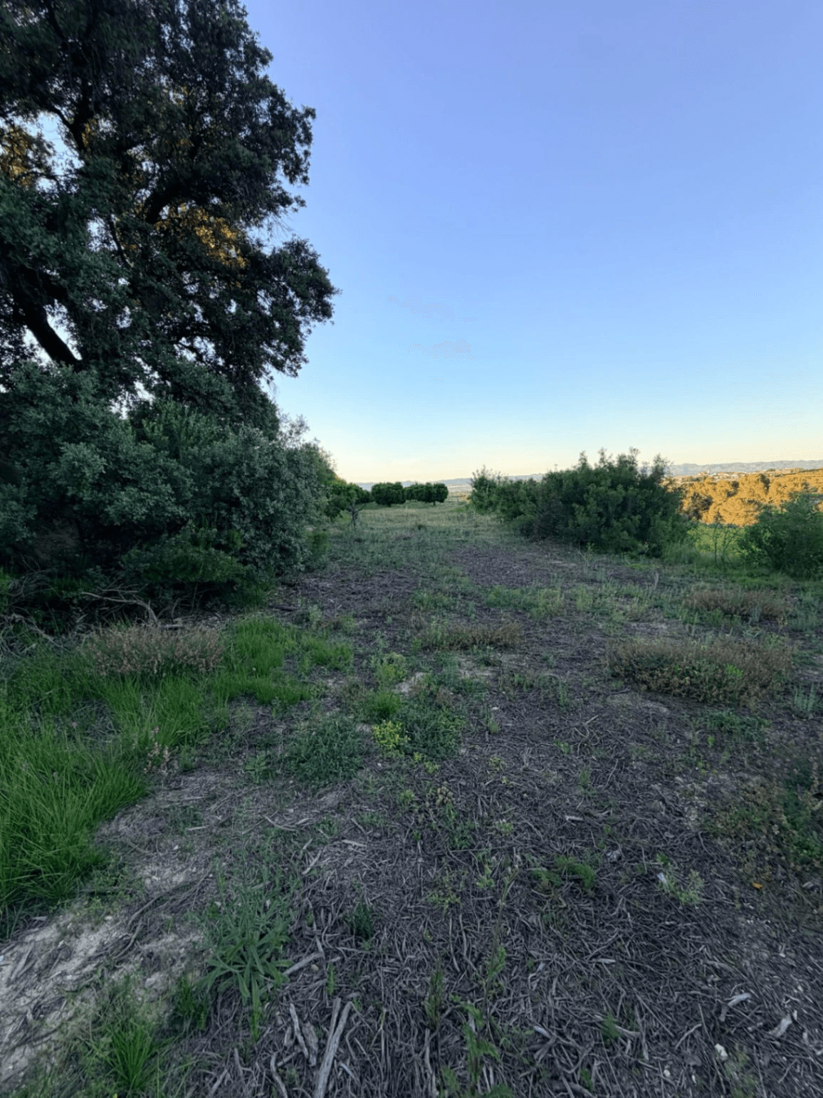 FINCA RÚSTICA CON MASÍA A REFORMAR | 35.000 m² | Vistas panorámicas