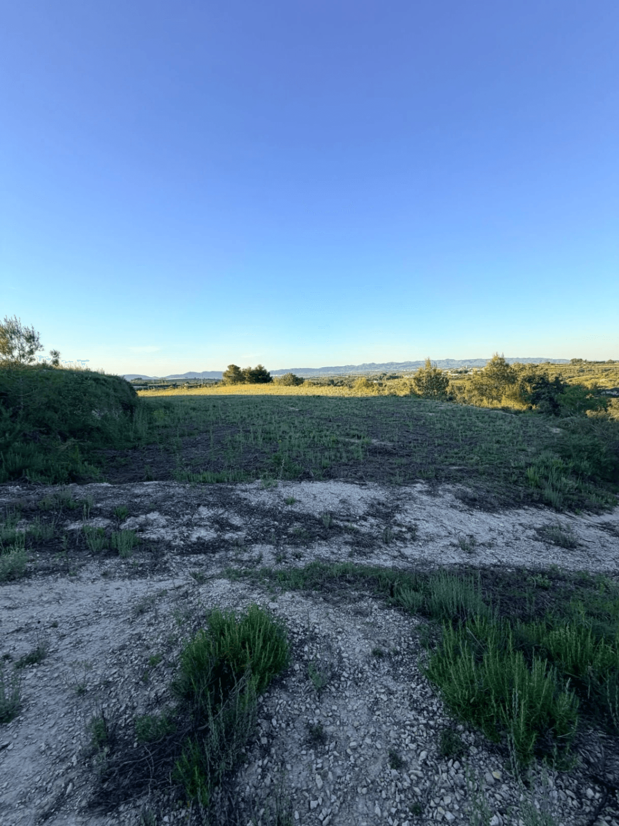 FINCA RÚSTICA CON MASÍA A REFORMAR | 35.000 m² | Vistas panorámicas