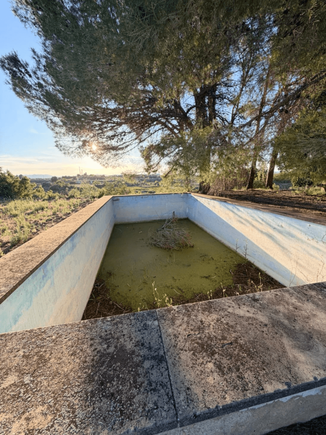 FINCA RÚSTICA CON MASÍA A REFORMAR | 35.000 m² | Vistas panorámicas