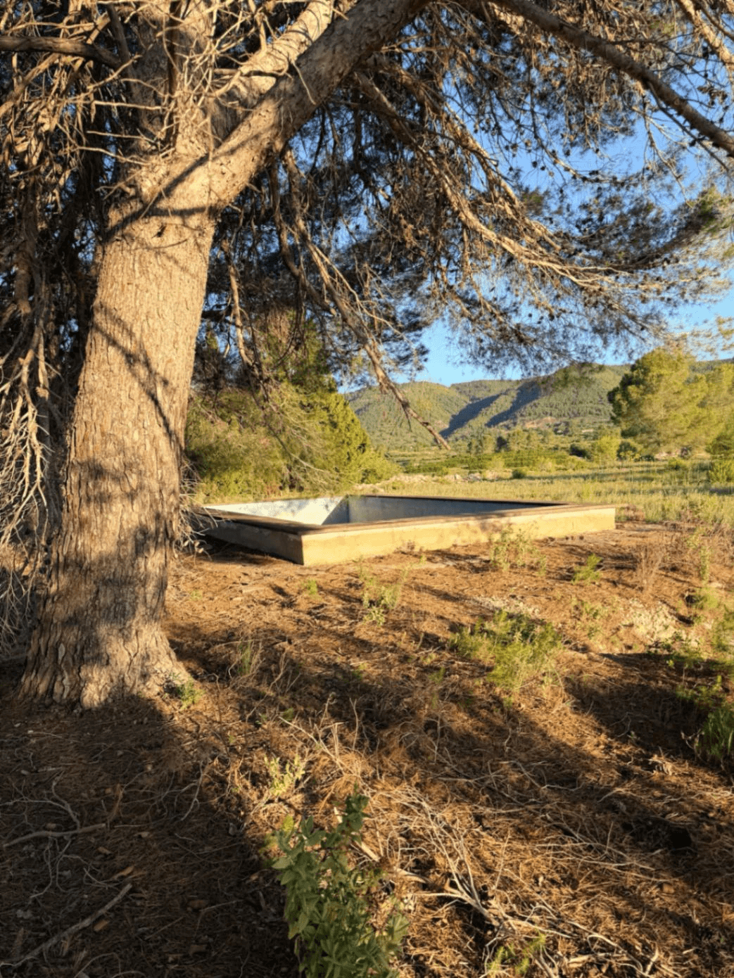 FINCA RÚSTICA CON MASÍA A REFORMAR | 35.000 m² | Vistas panorámicas