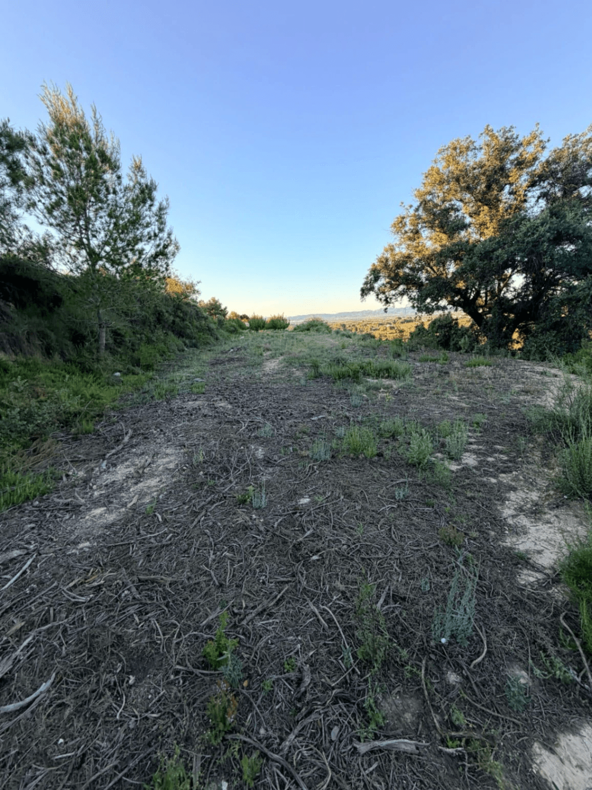 FINCA RÚSTICA CON MASÍA A REFORMAR | 35.000 m² | Vistas panorámicas