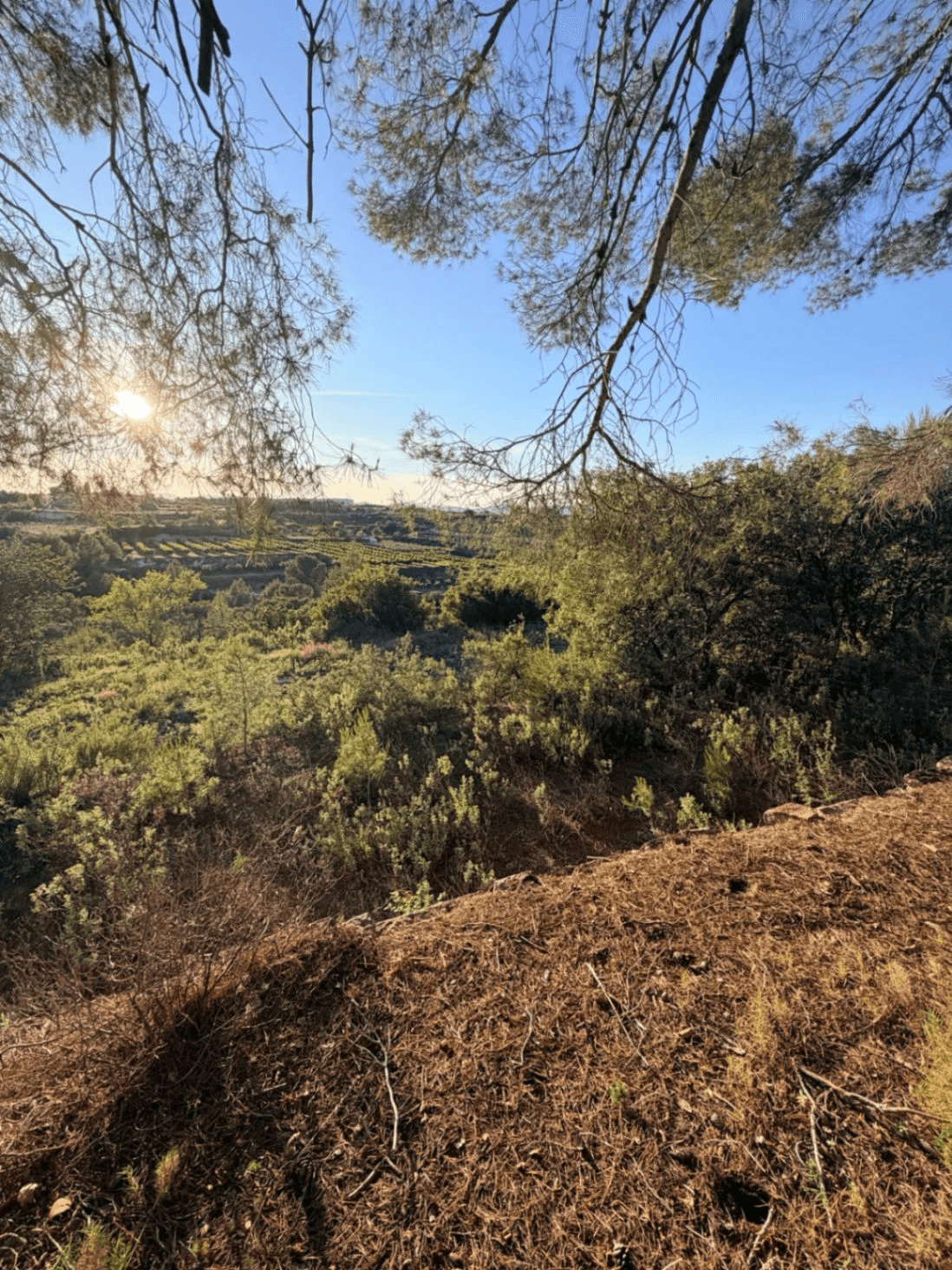 FINCA RÚSTICA CON MASÍA A REFORMAR | 35.000 m² | Vistas panorámicas