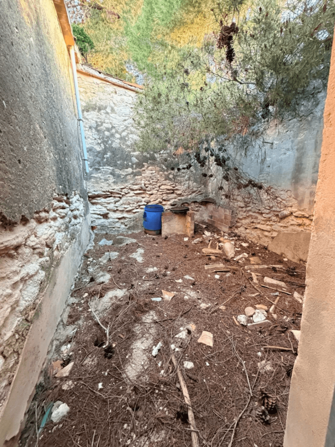 FINCA RÚSTICA CON MASÍA A REFORMAR | 35.000 m² | Vistas panorámicas