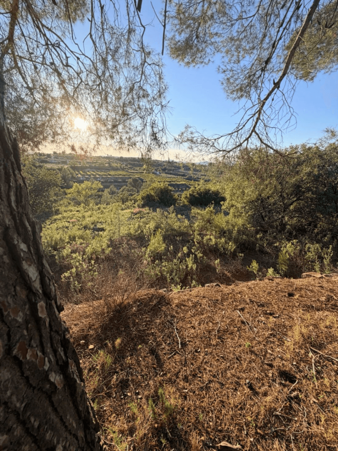 FINCA RÚSTICA CON MASÍA A REFORMAR | 35.000 m² | Vistas panorámicas