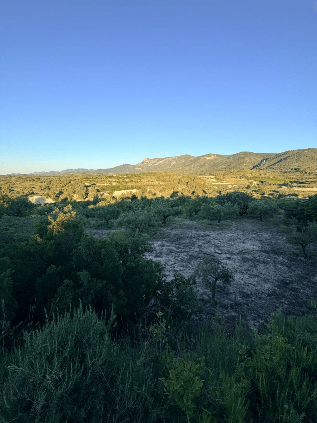 FINCA RÚSTICA CON MASÍA A REFORMAR | 35.000 m² | Vistas panorámicas