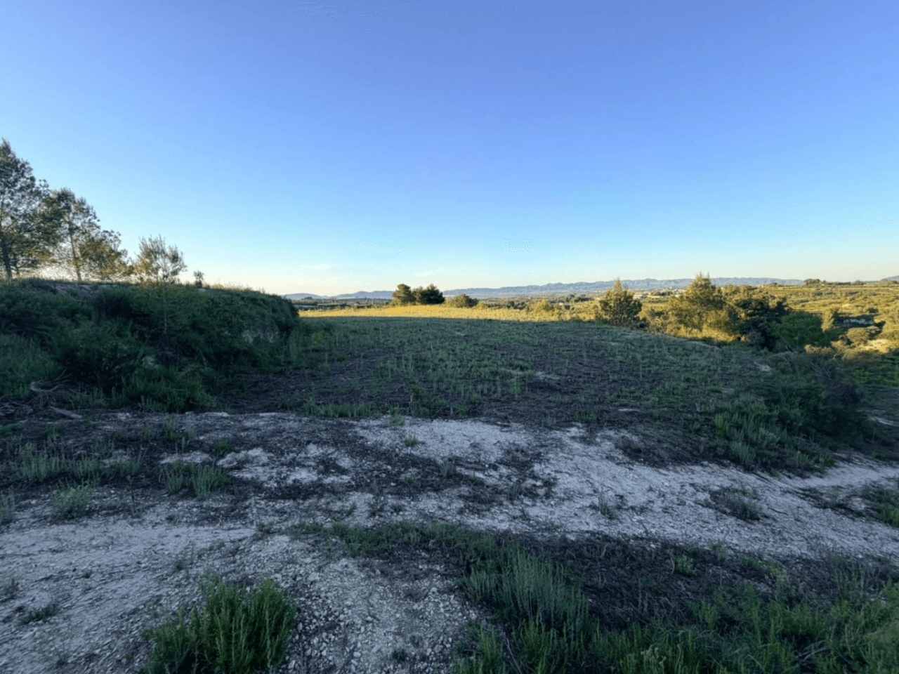 FINCA RÚSTICA CON MASÍA A REFORMAR | 35.000 m² | Vistas panorámicas